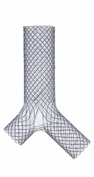 CITEC™ Full covered Y Shape Tracheal Stent, Bronchial Stent, Airway Stent, Tracheal Stents, Bronchial Stents, Airway Stents, Airway stenting, Endoscopic stenting, It is used for tracheal and bronchial stenosis caused by various malignant lesions.