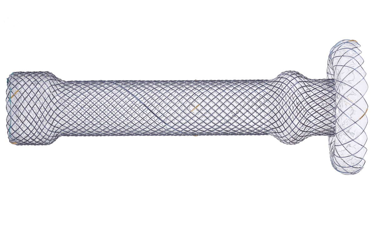 CITEC™ Cardia Umbrella Fistula Occluding Esophageal Stent