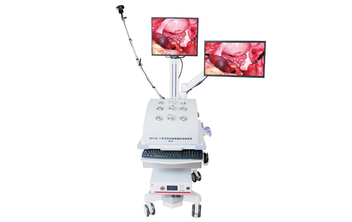 CITEC™ M’750-II Endoscopy Training Simulation System
