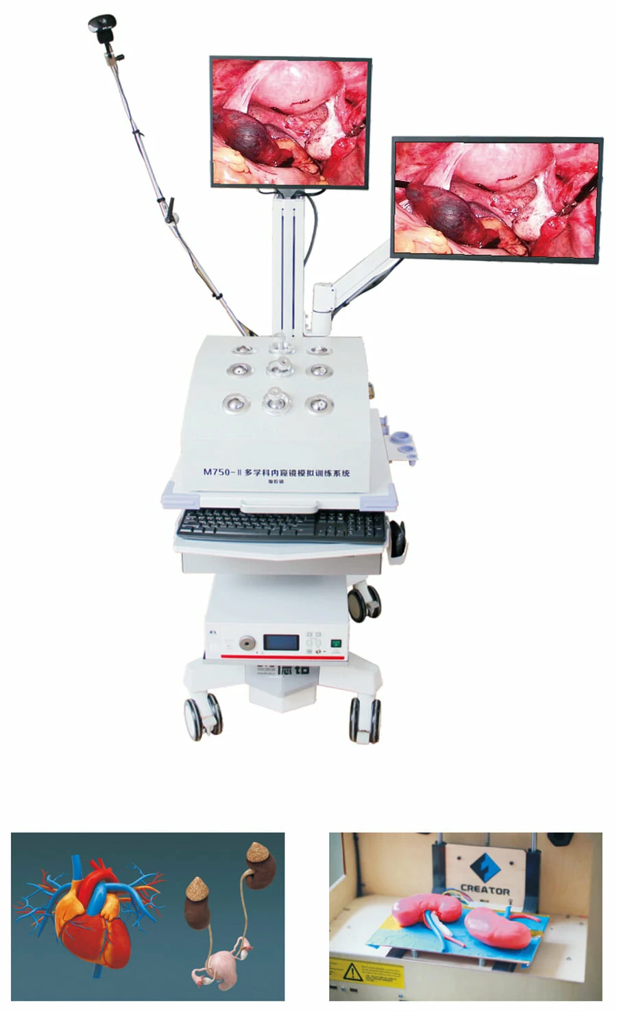 CITEC™ M’750-II Endoscopy Training Simulation System